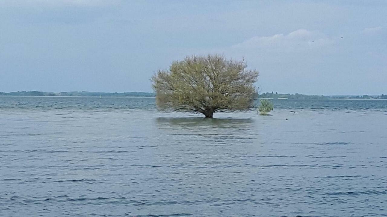 chez cadet Villa Larzicourt Kültér fotó